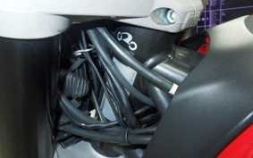 DUCATI SCRAMBLER 2019