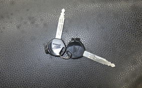 HONDA LEAD 110 2025 JF19