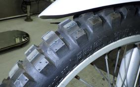 BETA 250KRアフリカ