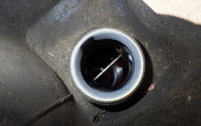 YAMAHA MAXAM 250 SG17J
