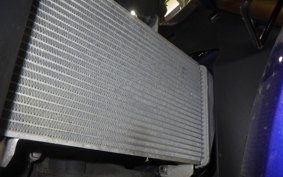 YAMAHA YZF-R25 RG43J