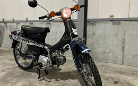 HONDA SUPER CUB50 C50