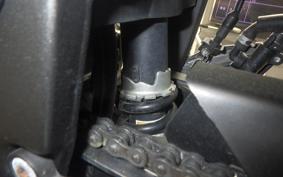 KAWASAKI NINJA 250R 2025 EX250K