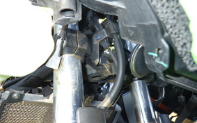 KAWASAKI NINJA 400 2019 EX400G
