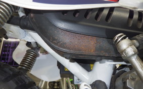 HONDA MONKEY BAJA 2024 Z50J