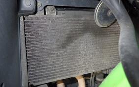 KAWASAKI NINJA 250 EX250L