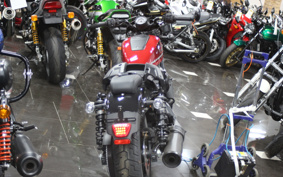 HARLEY  HARLEY RH975 NIGHT  STAR  2023 ZH1