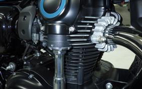 KAWASAKI W800 CAFE 2021 EJ800B