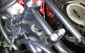 HONDA CRF250L 2009 MD47
