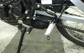 YAMAHA RZ50 Gen.2 2020 RA02J