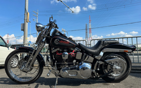 HARLEY FXSTS1340 BLL