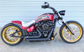 HARLEY FXBRS 2020 YHK