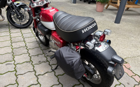 HONDA MONKEY 125 JB02