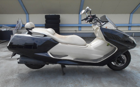 YAMAHA MAXAM 250 SG21J