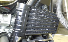 KAWASAKI ZEPHYR 750 2026 ZR750C