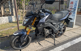 KAWASAKI Z125 PRO BR125H