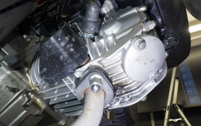 HONDA MONKEY 125 2026 JB03