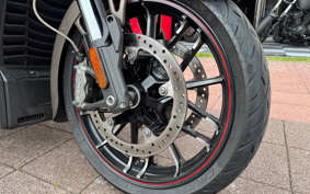 INDIAN CHALLENGER DARK HOSE 2022 L