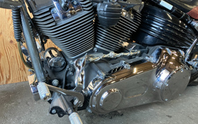 HARLEY HARLEY FXCWC 2008 JK5