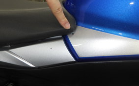 SUZUKI GSX-R1000R A 2021 DM11G