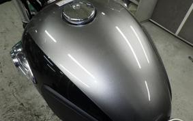 KAWASAKI W800 2024 EJ800E