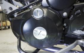 KAWASAKI KLX250D TRACKER X 2024 LX250V