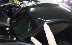 SUZUKI GSX250 R 2015