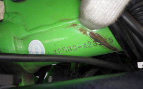 KAWASAKI KLX250 Gen.2 LX250S