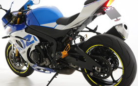 SUZUKI GSX-R1000R ABS 2020 DM11G