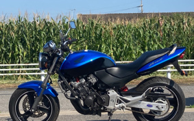 HONDA HORNET 250 MC31
