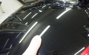 KAWASAKI W800 2023 EJ800E