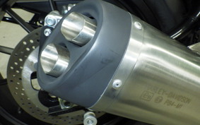 HARLEY X500 2024
