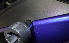 YAMAHA YZF-R25 2010 RG43J