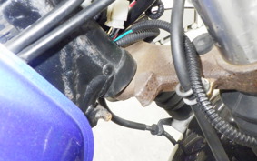 HONDA FTR223 2025 MC34