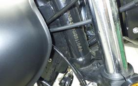 OTHER +UNREGISTERED MODEL by BDS250 2007