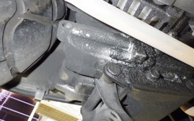 HONDA ZOOMER 2022 AF58