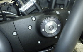 HARLEY XL883N 2015