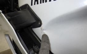 YAMAHA FZR250 2KR