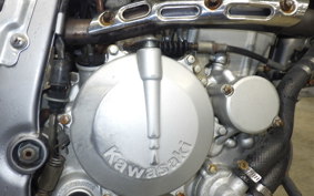 KAWASAKI KLX250 2025 LX250E