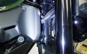 KAWASAKI Z900RS 2024 ZR900K