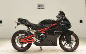 OTHER メガリ 250R 2011