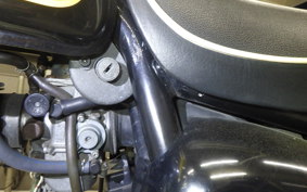 KAWASAKI ESTRELLA RS 2019 BJ250A