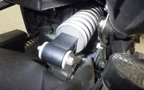 KAWASAKI NINJA 1000 SX 2024 ZXT02K