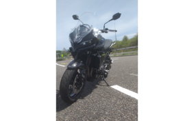 TRIUMPH TIGER 800 2026 L25P10