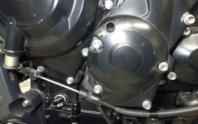 TRIUMPH STREET TRIPLE R 2011