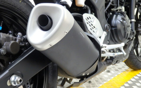 YAMAHA MT-25 RG43J