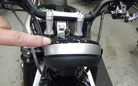 TRIUMPH SCRAMBLER 1200X 2026