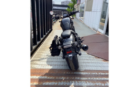HONDA REBEL 1100 DCT 2024 SC83