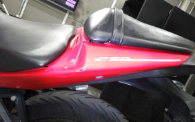 YAMAHA YZF-R25 2023 RG10J