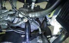 YAMAHA DT50 2015 17W